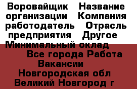 Воровайщик › Название организации ­ Компания-работодатель › Отрасль предприятия ­ Другое › Минимальный оклад ­ 30 000 - Все города Работа » Вакансии   . Новгородская обл.,Великий Новгород г.